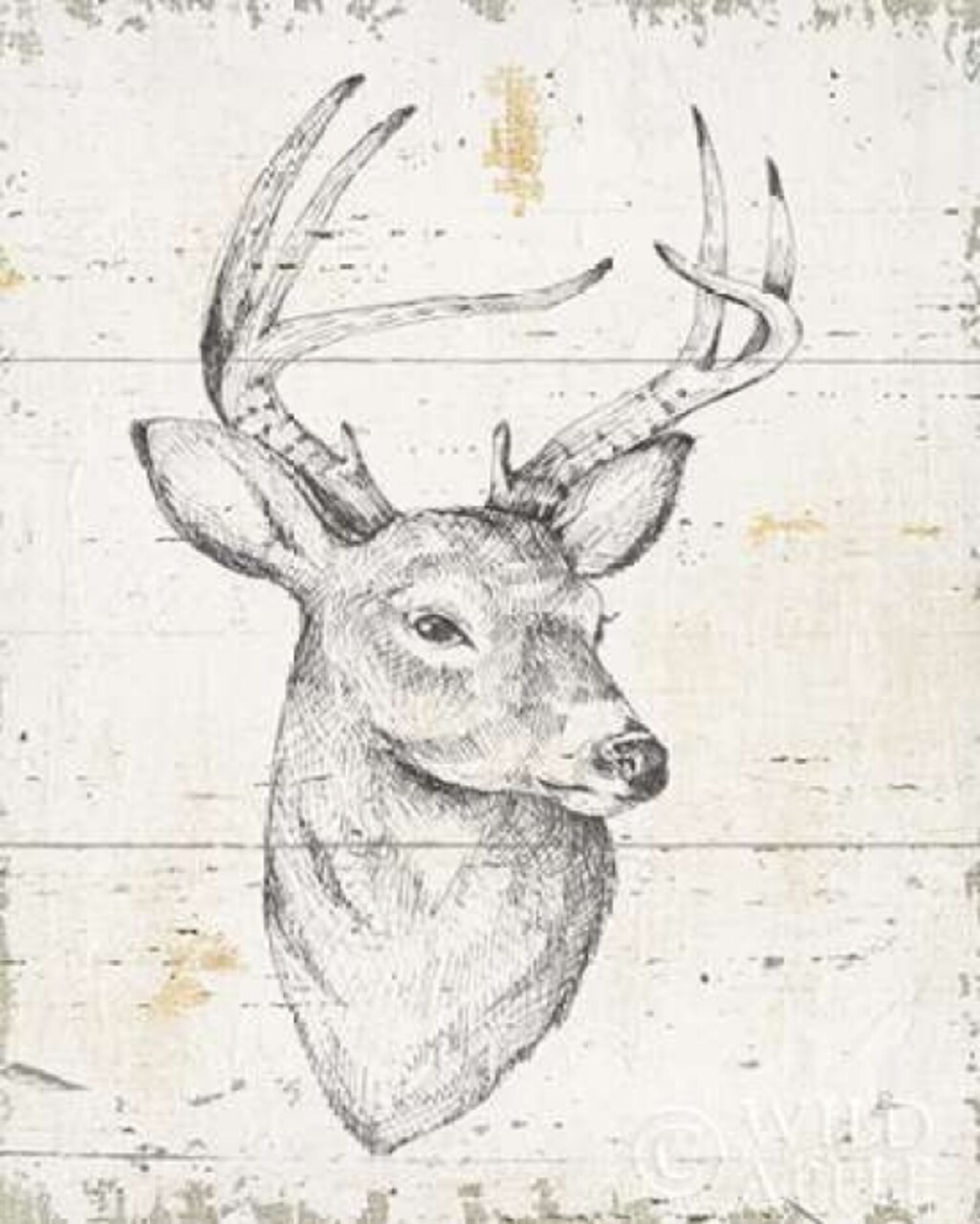 Wild and Beautiful I Poster Print by Daphne Brissonnet - Item # VARPDX28760